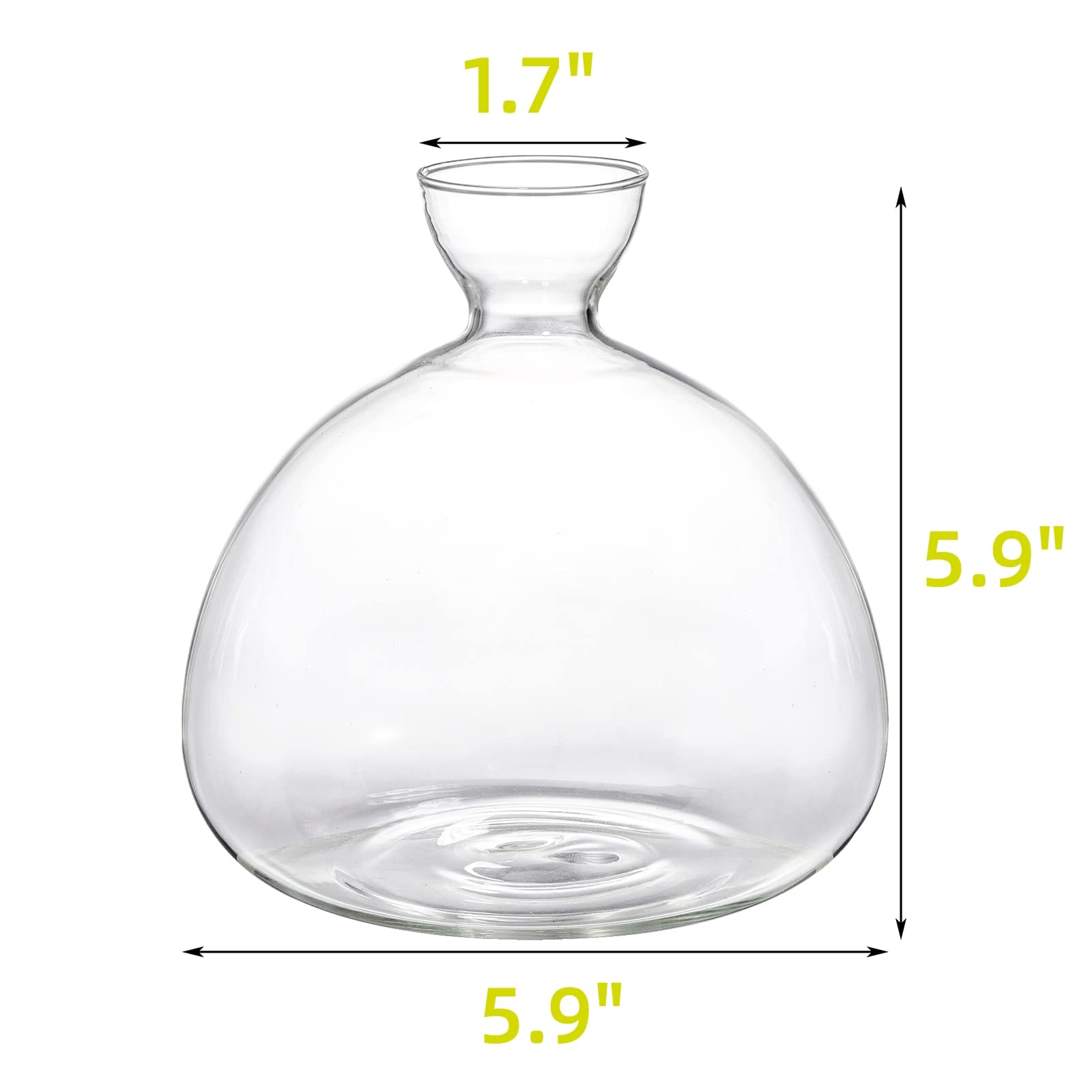 Hiceeden avocado seed starter vase with a 1.7-inch mouth for easy seed placement.