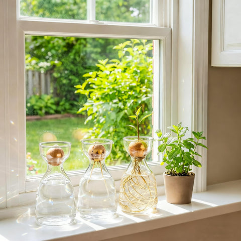 Hiceeden elegant-minimalist-vase-decor complements modern interiors while showcasing natural plant progress.