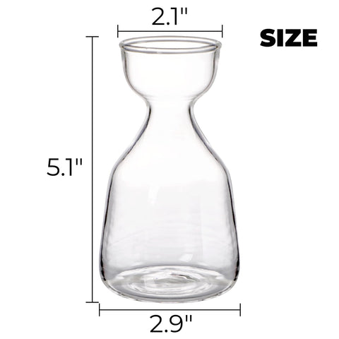 Hiceeden glass-acorn-tree-growing-kit-vase enables stylish display while nurturing avocado seed growth.