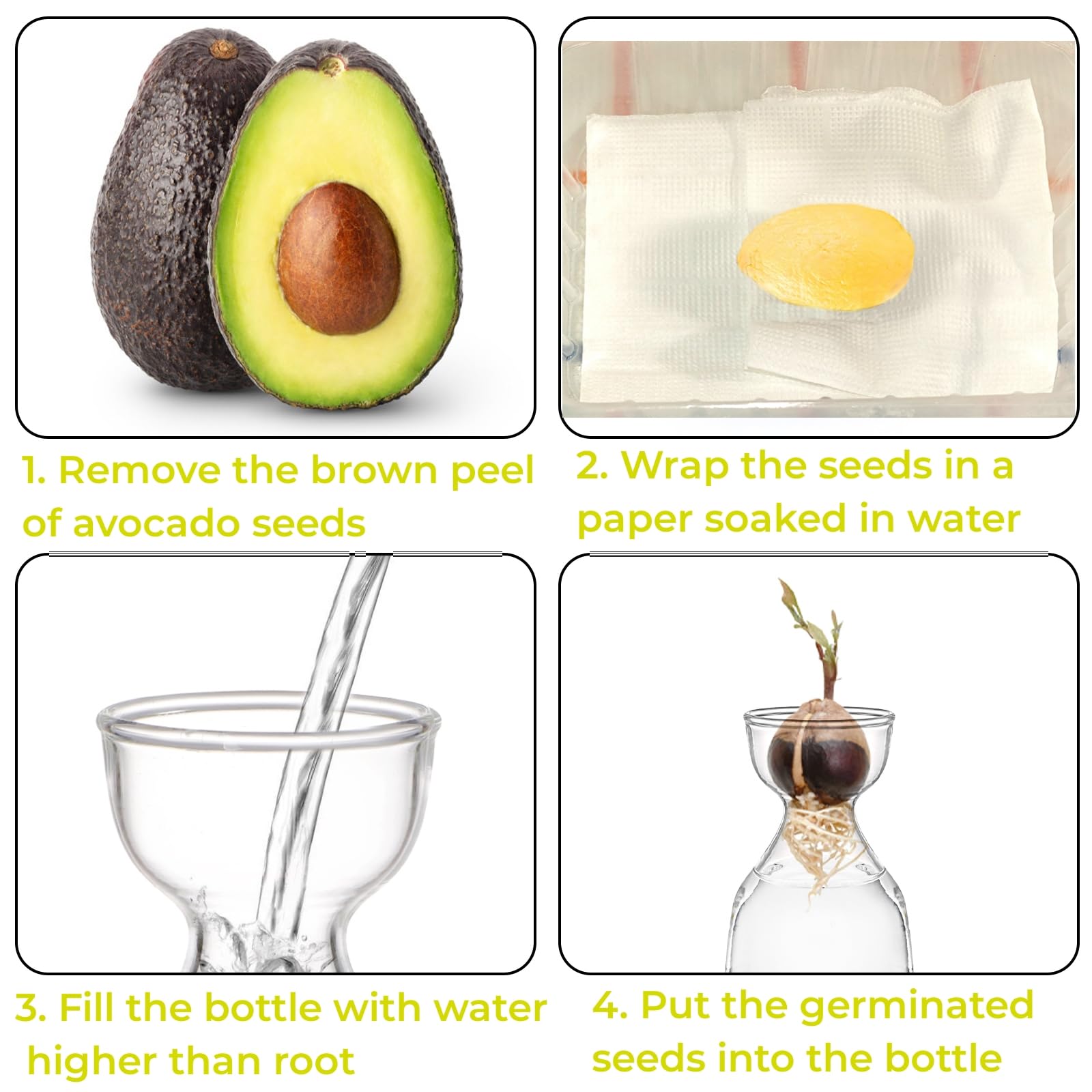 Hiceeden small-avocado-tree-pot-seed-planter offers a compact home garden starter for seeds.