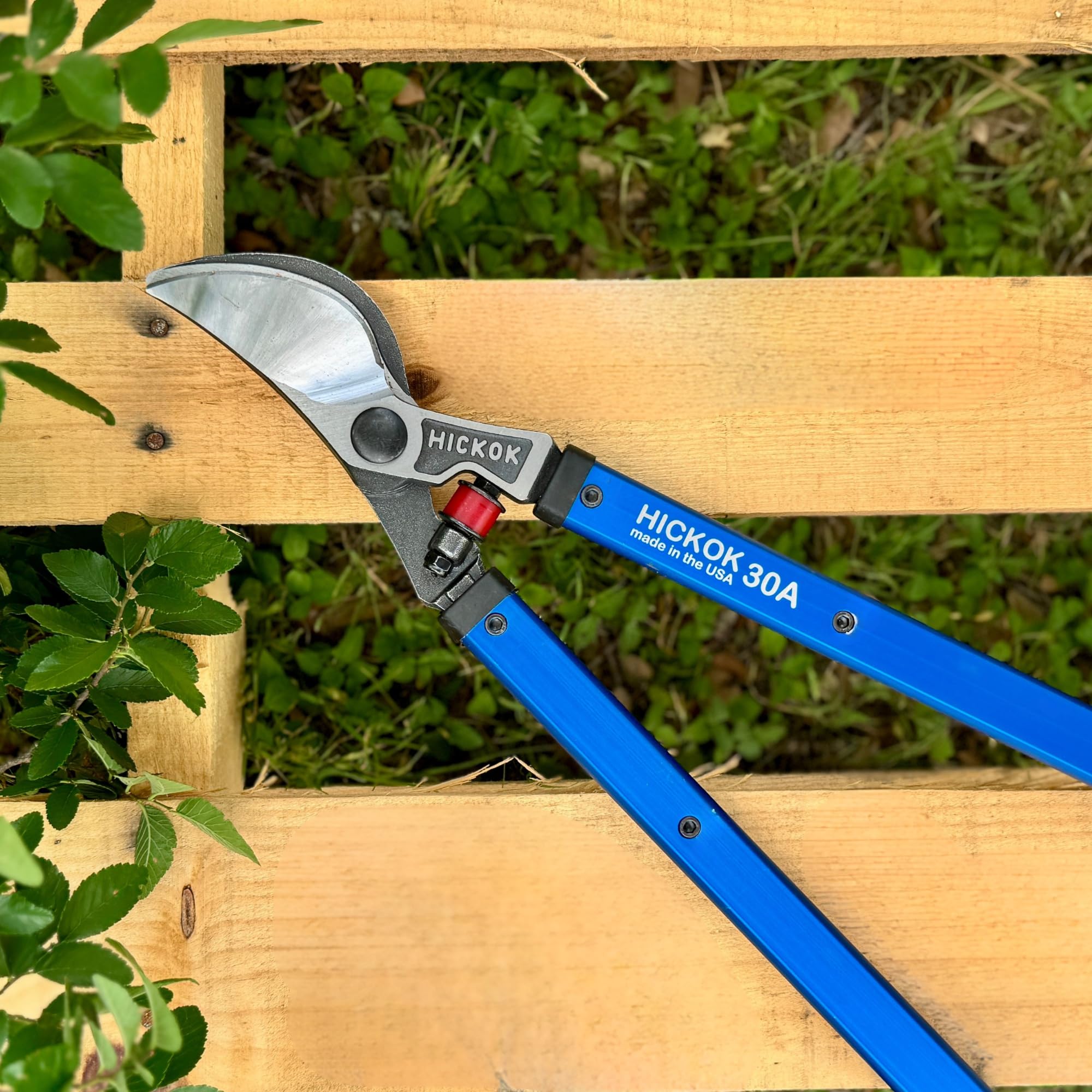 Hickok loppers cut branches up to 2.25 inches with ease.