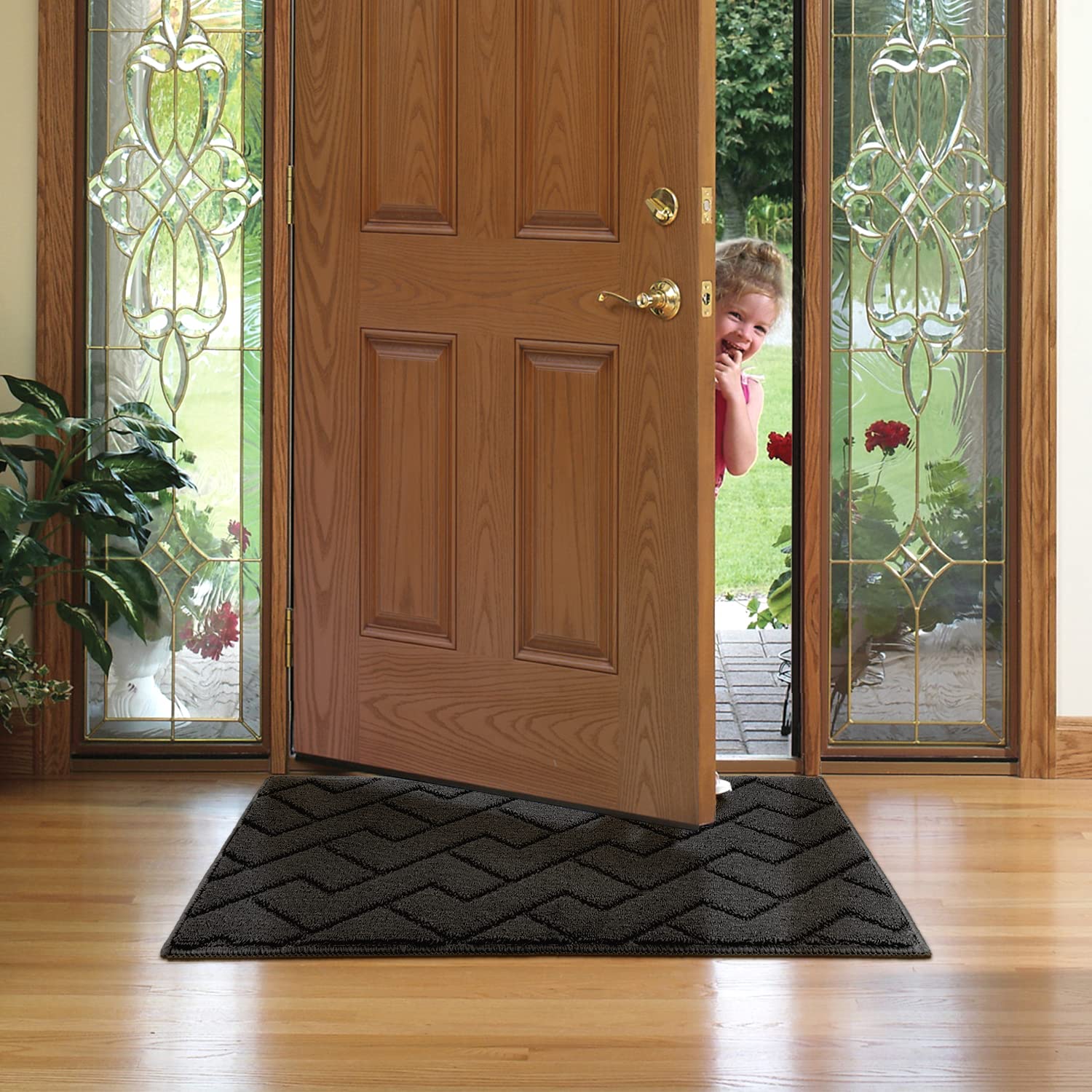 hicorfe dog-friendly doormat catches paw dirt at doorway