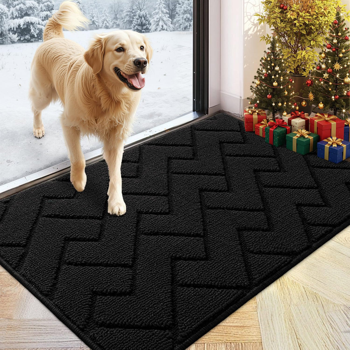 hicorfe indoor doormat at the front door with absorbent fibers for dry floors.