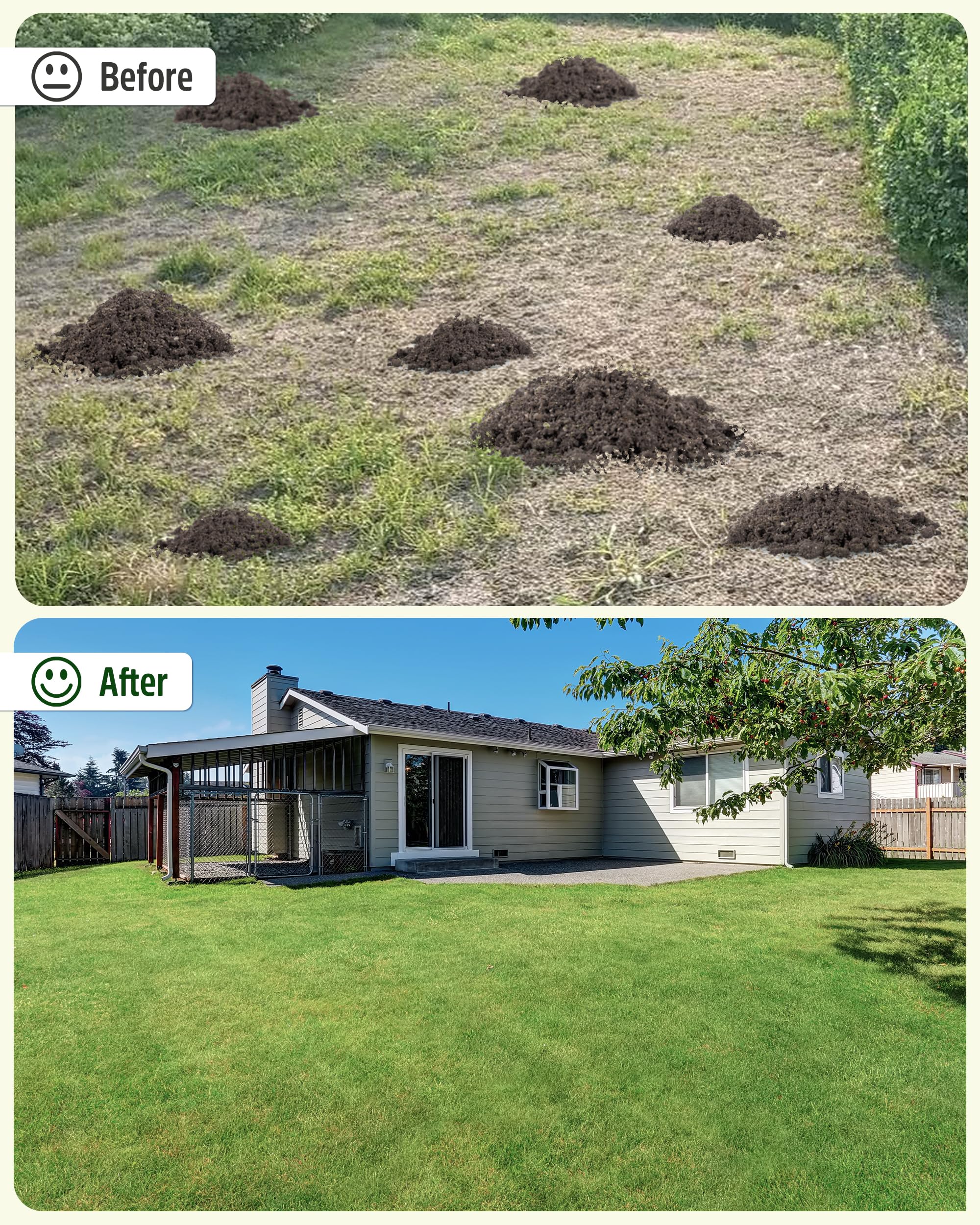 Hidalife suitable for Kentucky bluegrass, Bermuda, and ryegrass lawns.