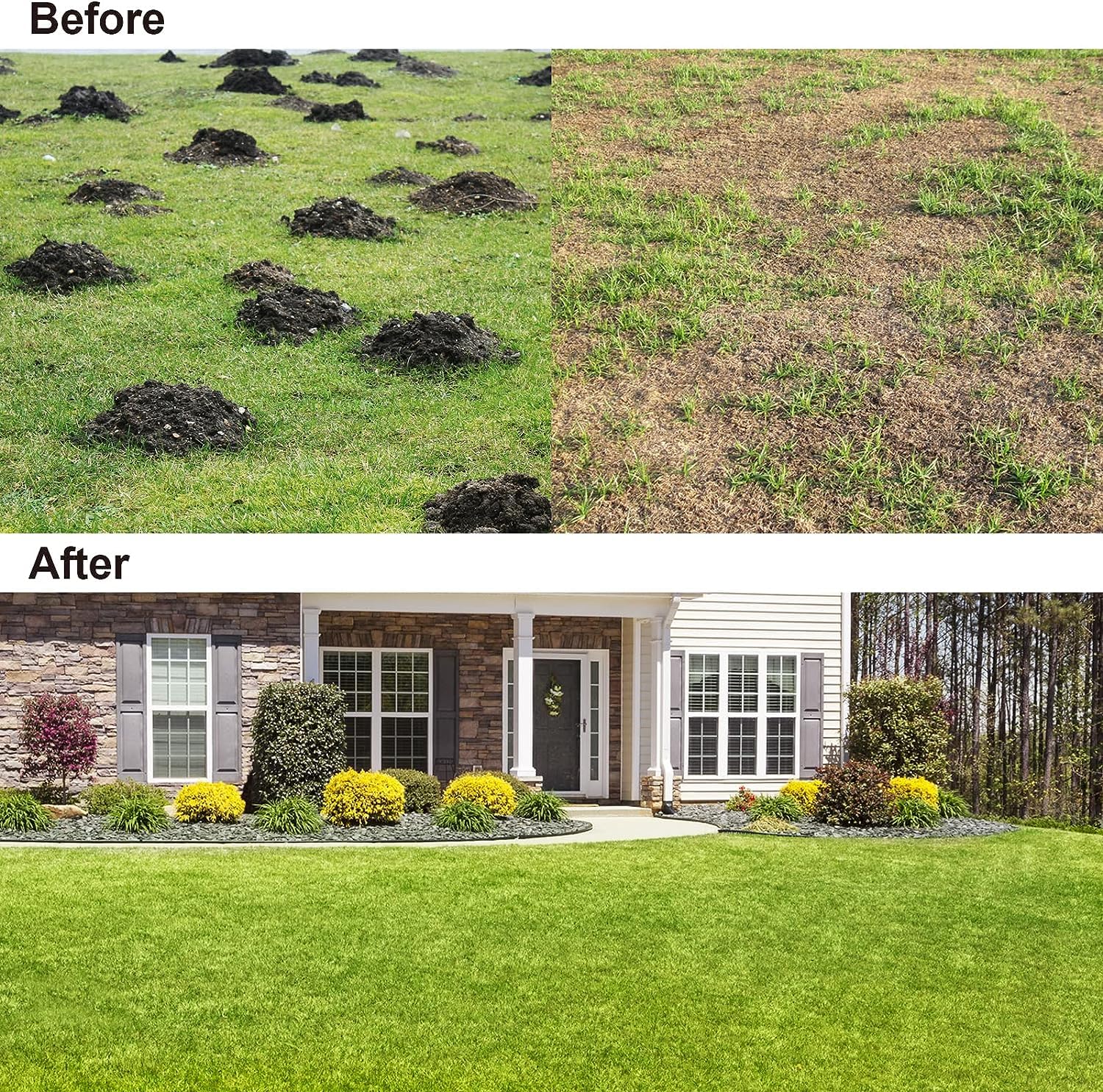 HIDALIFE rake ground plate 30x10 for quick, even lawn leveling