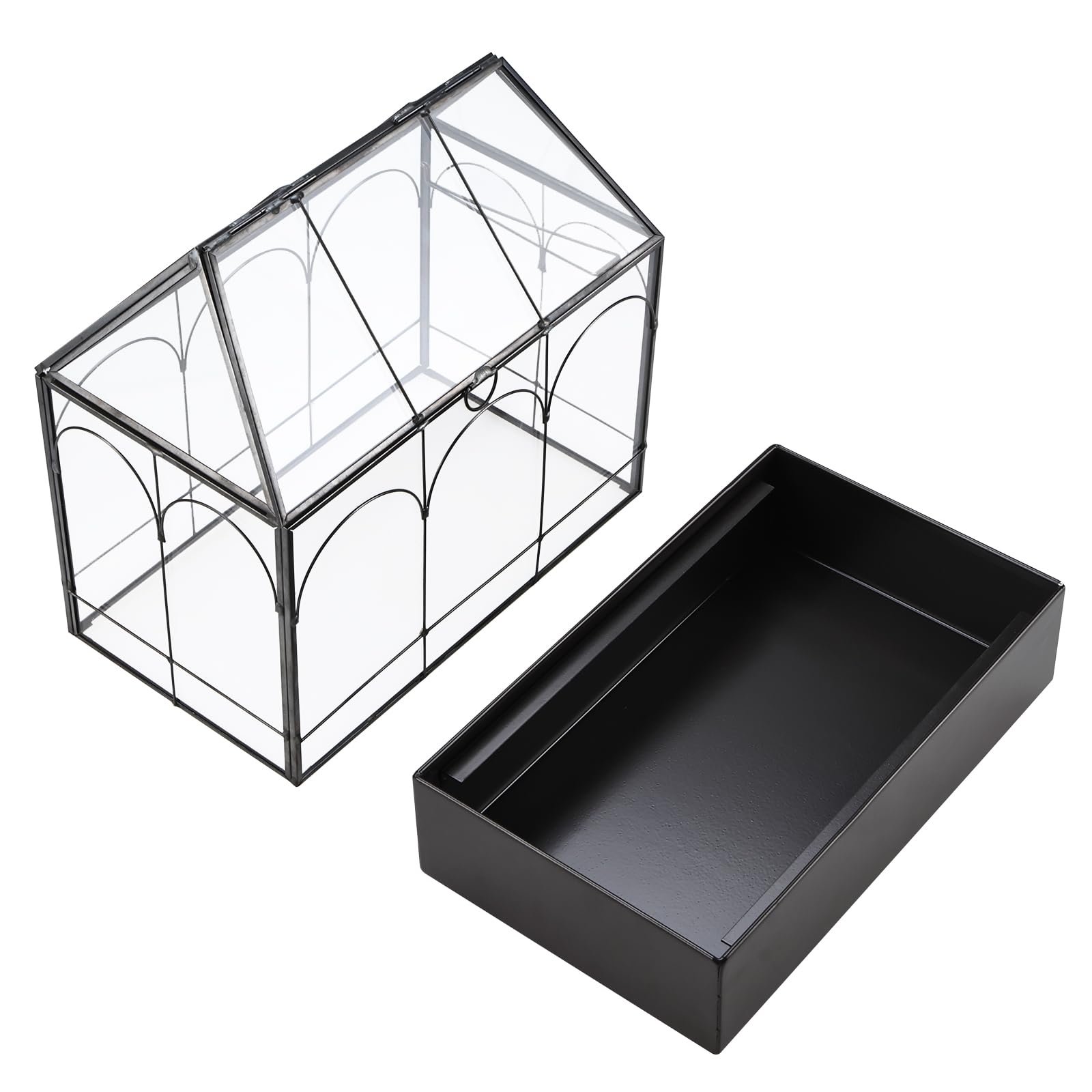 HighFree clear glass provides maximum light transmission to support sun-loving plants.