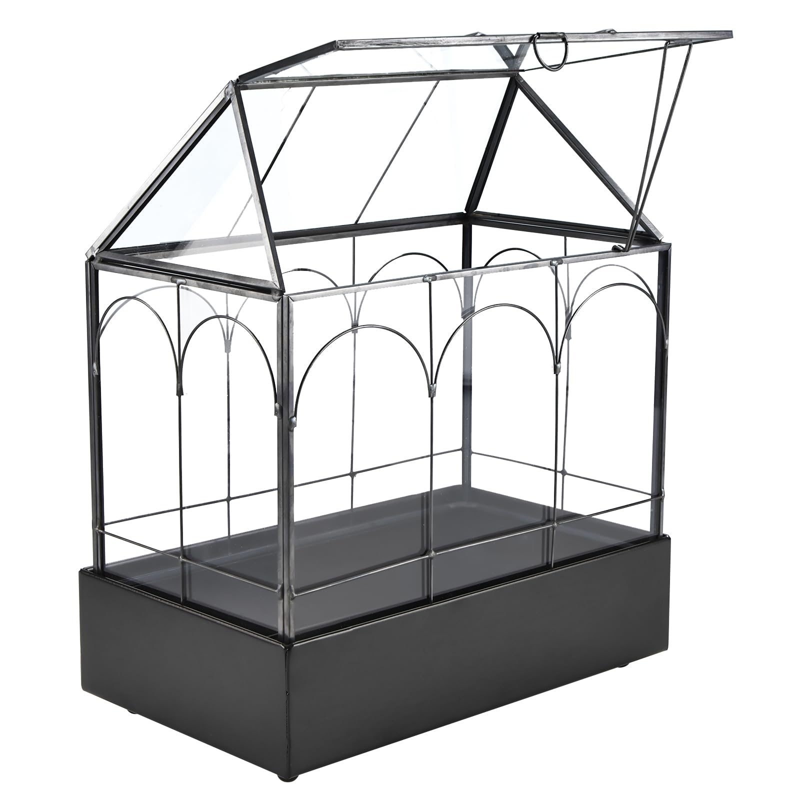 HighFree glass terrarium with hinged lid for easy ventilation and care of tiny plants.