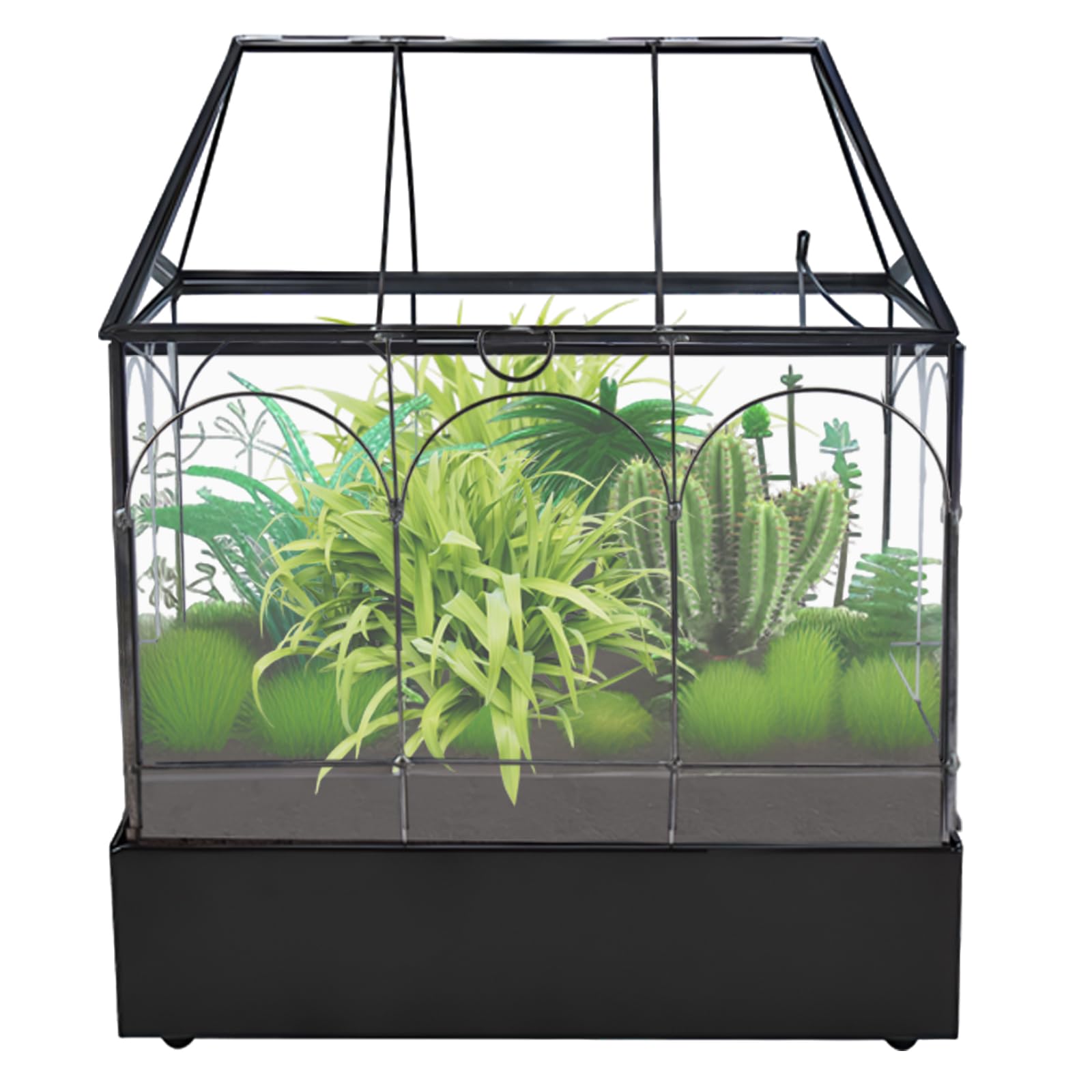 HighFree house-shaped terrarium creates a cozy micro-habitat on a tabletop.