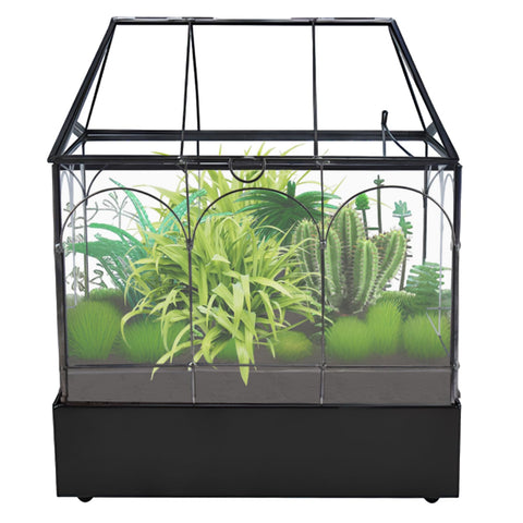 HighFree house-shaped terrarium creates a cozy micro-habitat on a tabletop.
