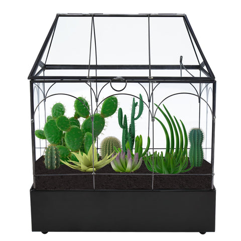 HighFree small-plant friendly terrarium ideal for succulents, moss, and air plants.