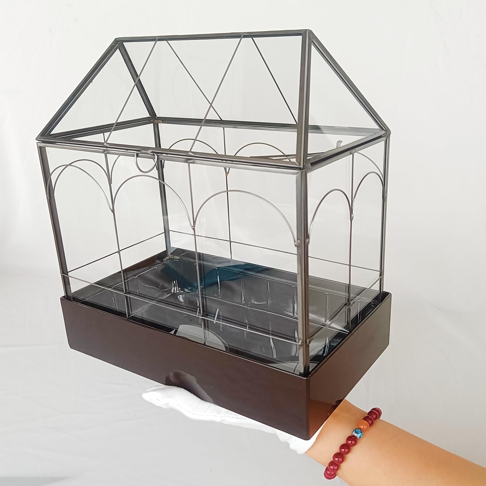 HighFree swinging lid enables airflow for easy care of plants and tiny animals.