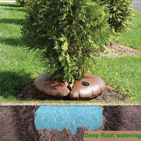 Highlight tree watering ring with deep root watering supports transplant recovery and thriving roots.