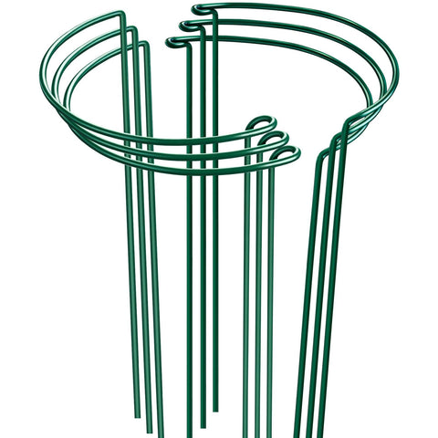 HiGift 6-pack 24in plant stakes provide tall support for blooms and tomatoes.
