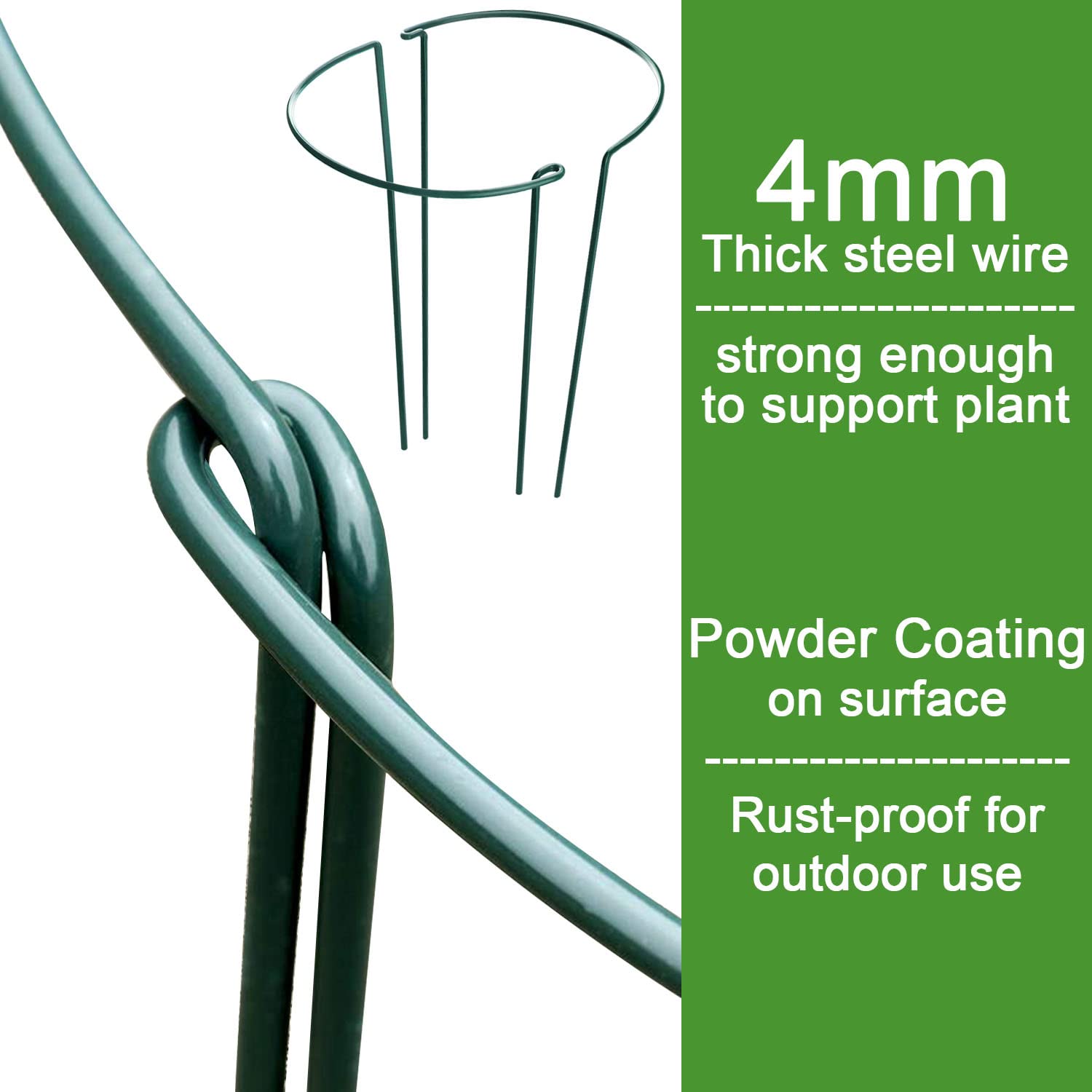 HiGift 24-inch stake border helps keep garden paths open and orderly.