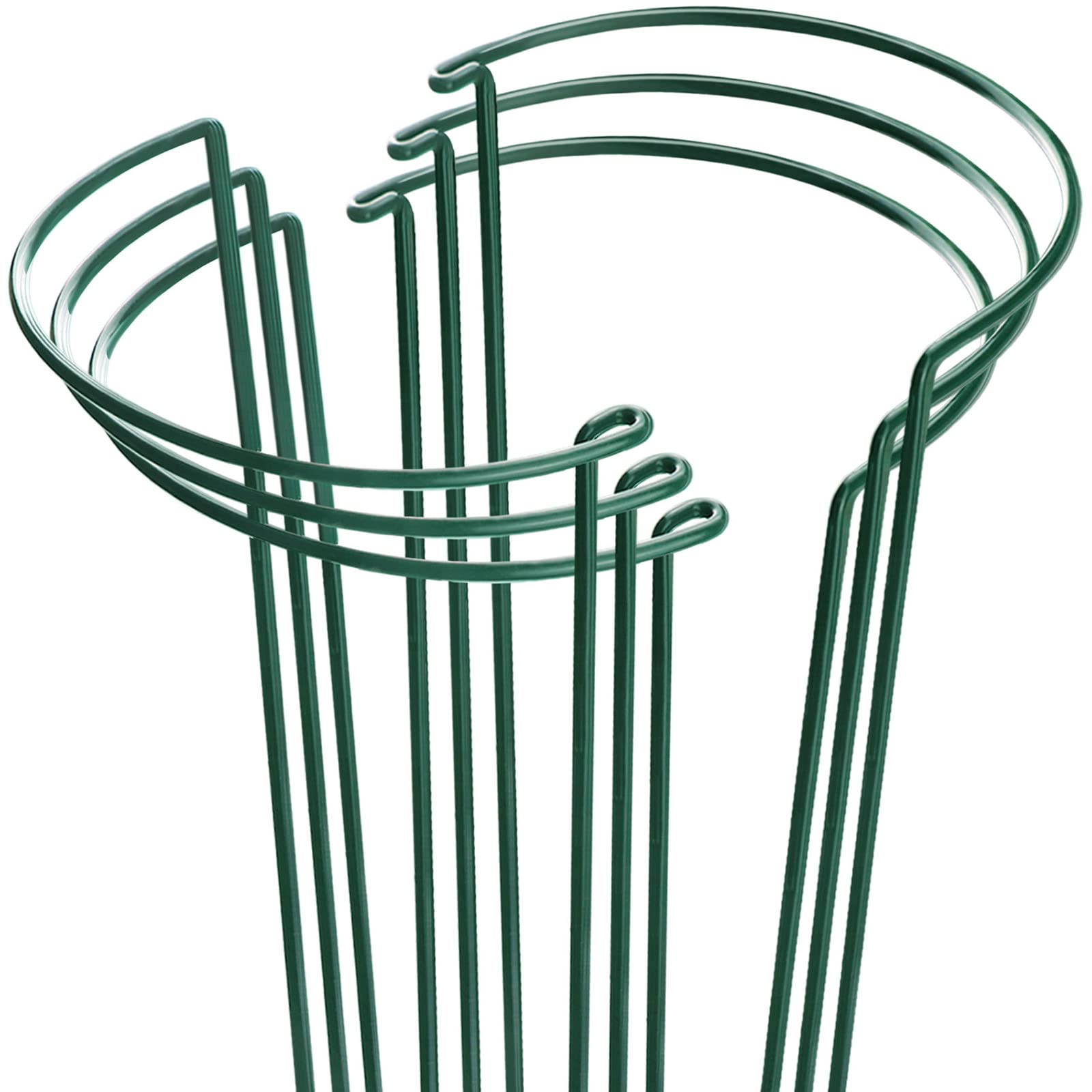 HiGift half-round plant support surrounds the peony for steady growth.