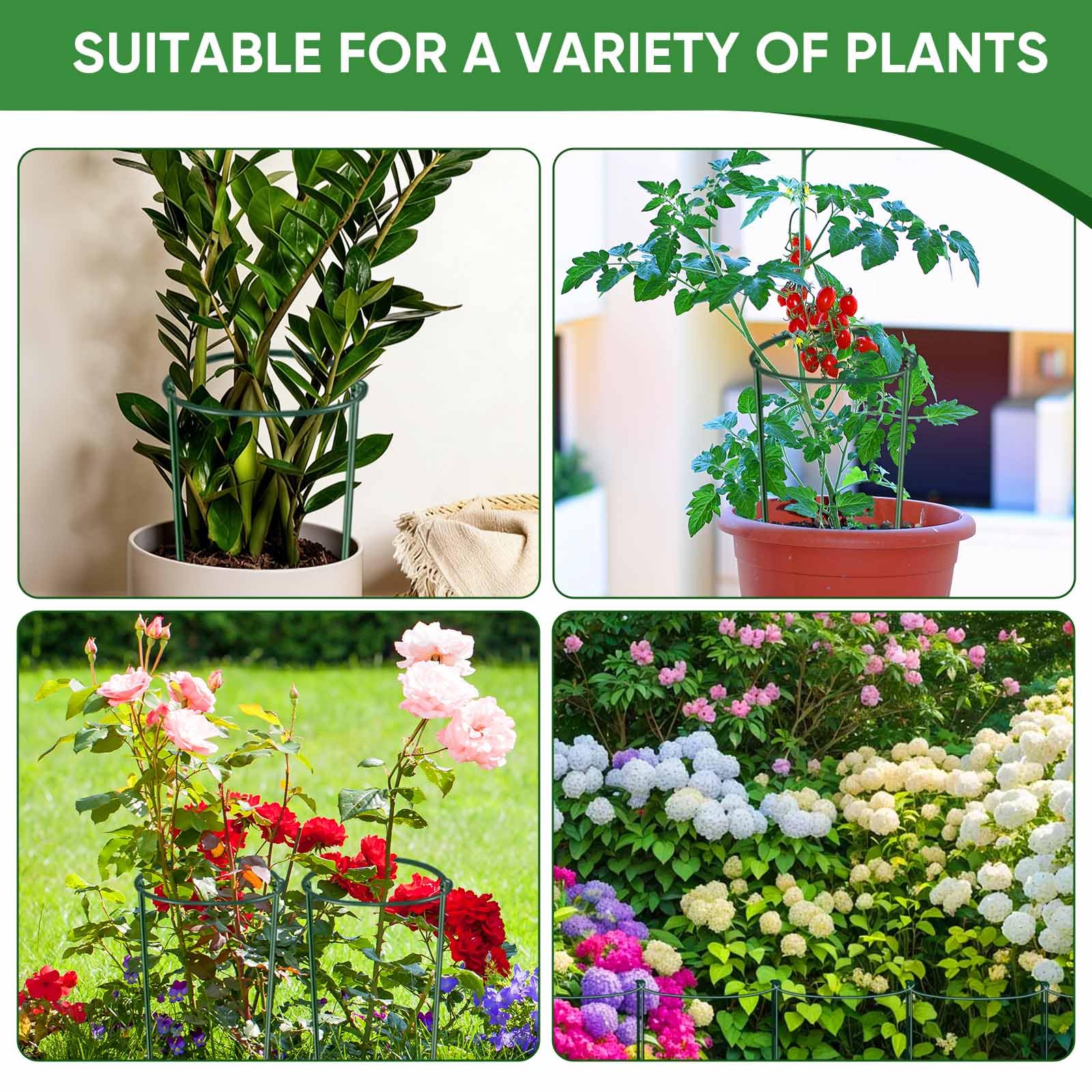 HiGift hydrangea and rose support from sturdy 24-inch stakes.