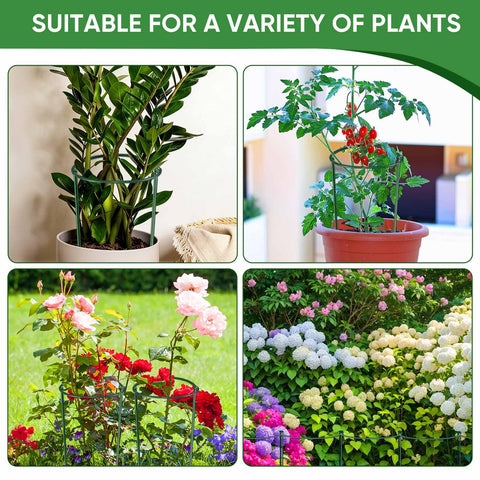 HiGift hydrangea and rose support from sturdy 24-inch stakes.