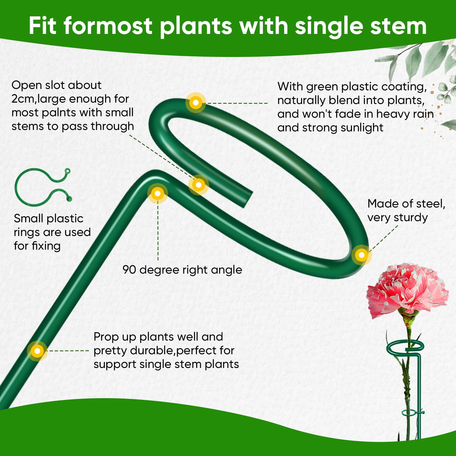 HiGift open-slot stake gently guides stems without restricting growth.