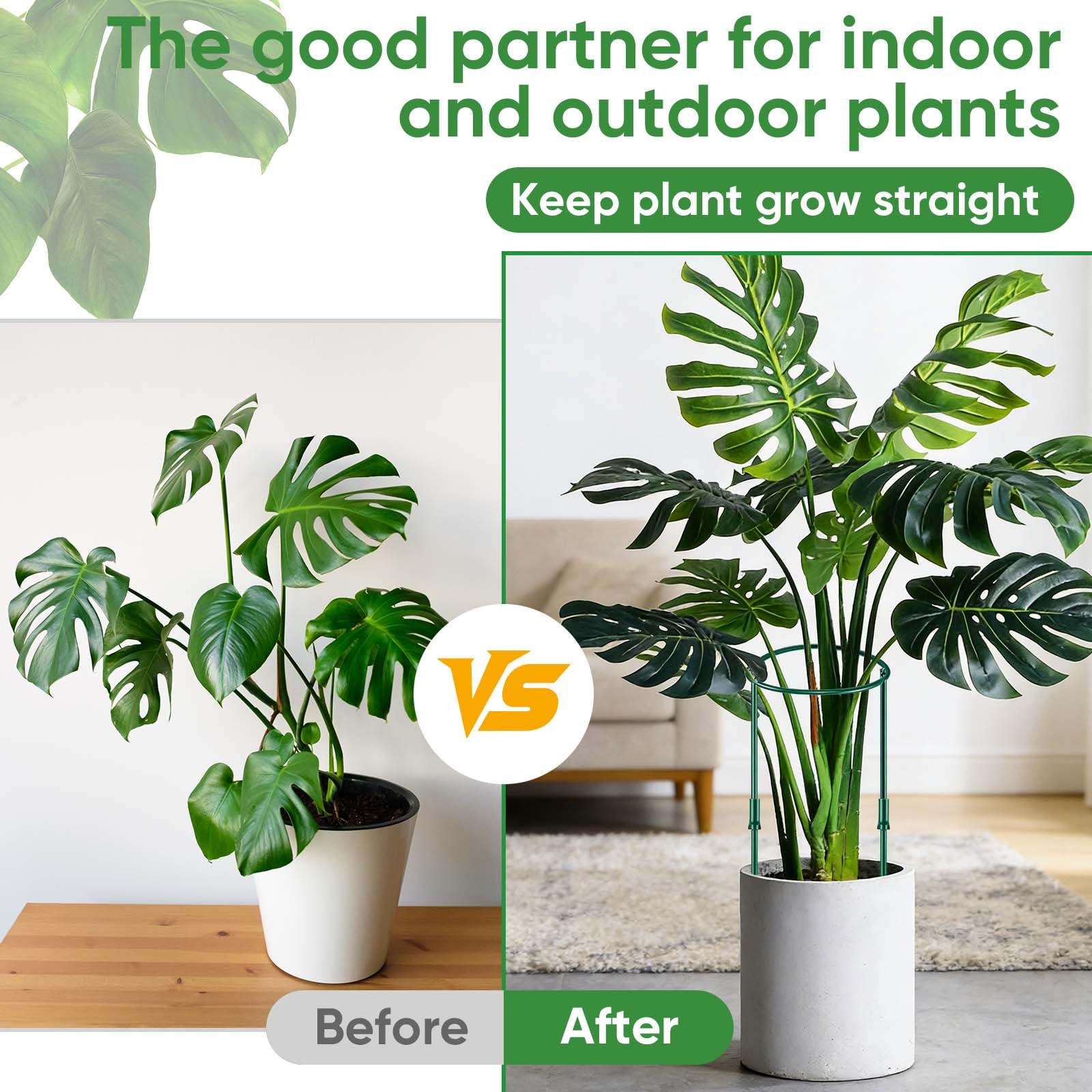 HiGift peony stake in garden offers wind resistance and upright growth.