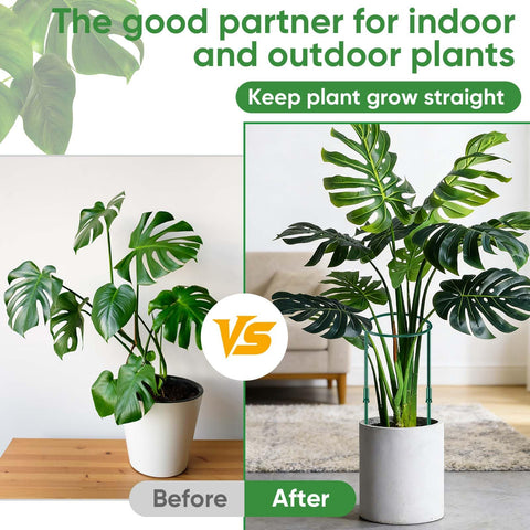 HiGift peony stake in garden offers wind resistance and upright growth.
