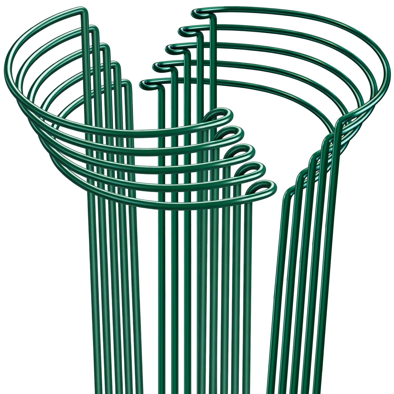 HiGift tall plant stake 24-inch provides sturdy vertical support for tall blooms.