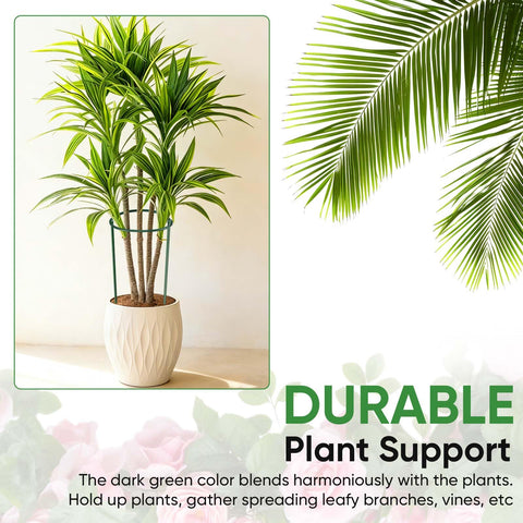 HiGift ten-pack offers versatile grouping to adapt to different plant sizes.