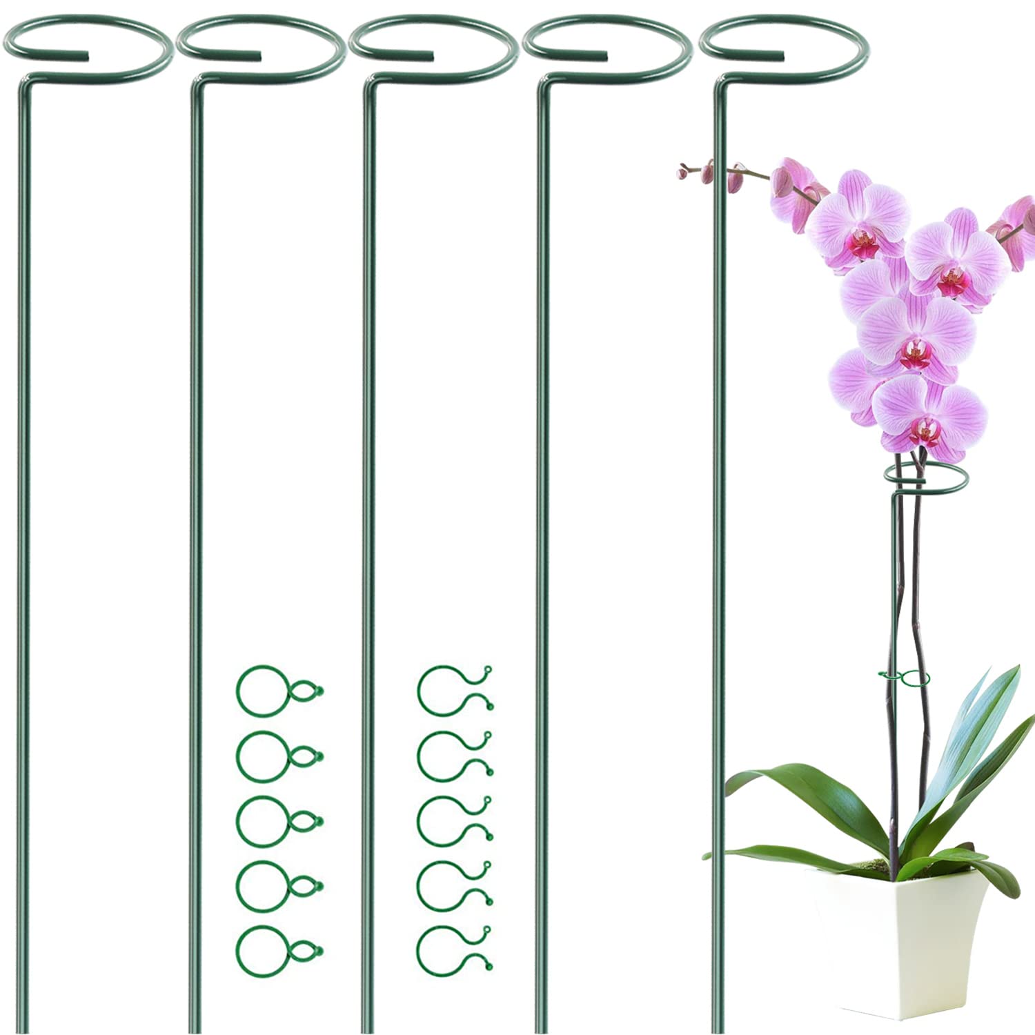 HiGift durable stakes withstand wind and rain while maintaining plant form