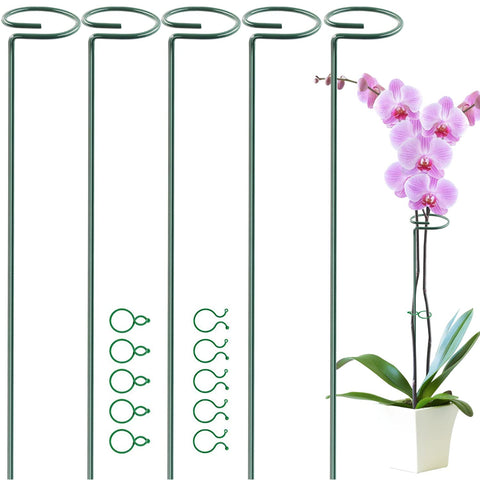 HiGift durable stakes withstand wind and rain while maintaining plant form