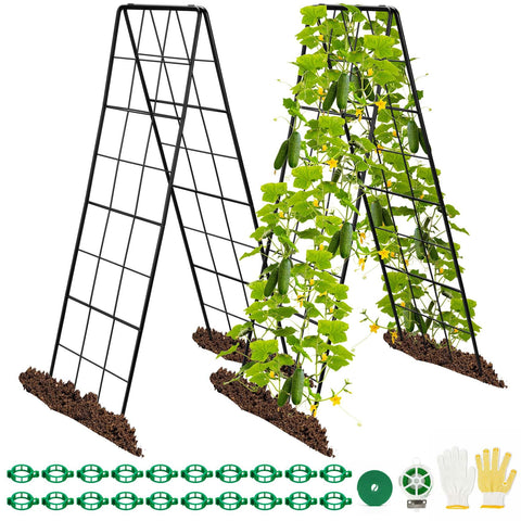HIHADUUM 2-pack 50 tall A-frame trellis assembly shows sturdy setup for vines