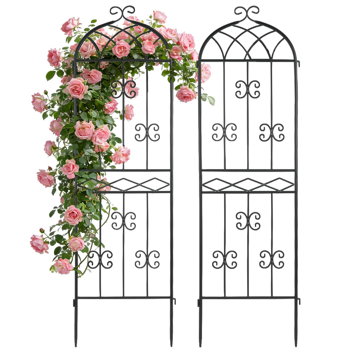 HIHADUUM 2-pack arched metal trellis supports climbing roses and vines with durable rust-resistant frame.