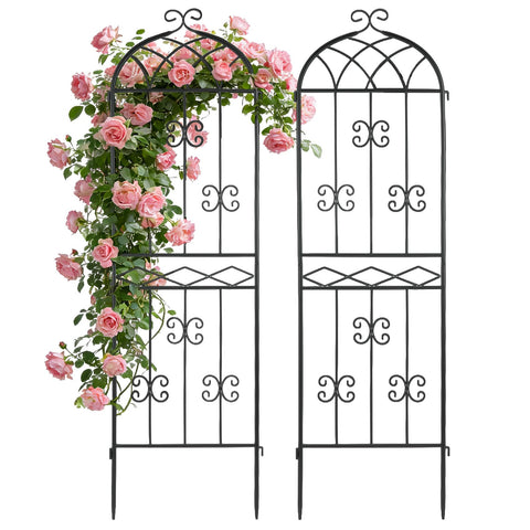 HIHADUUM 2-pack arched metal trellis supports climbing roses and vines with durable rust-resistant frame.