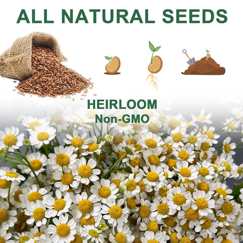 HiHOYA A&B plant food provides odorless fertilizer for seedlings.