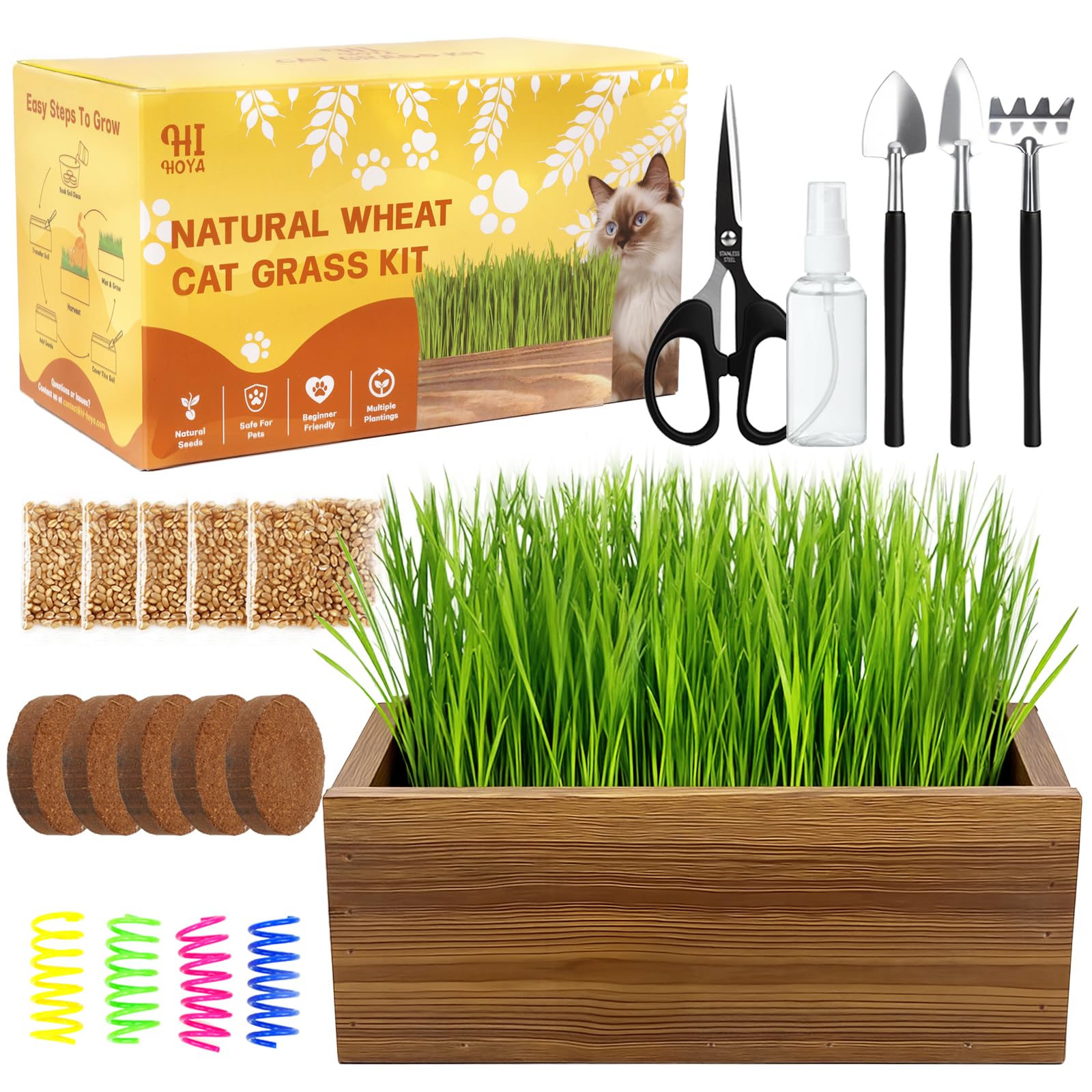 HiHOYA Cat Grass Kit with wooden planter for indoor enrichment.