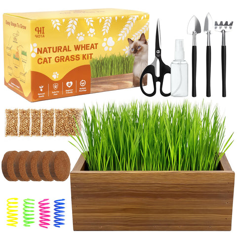 HiHOYA Cat Grass Kit with wooden planter for indoor enrichment.