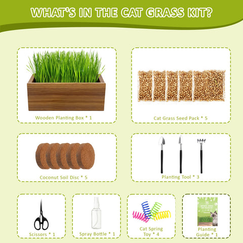 HiHOYA coconut coir soil discs for easy planting and mess-free setup.