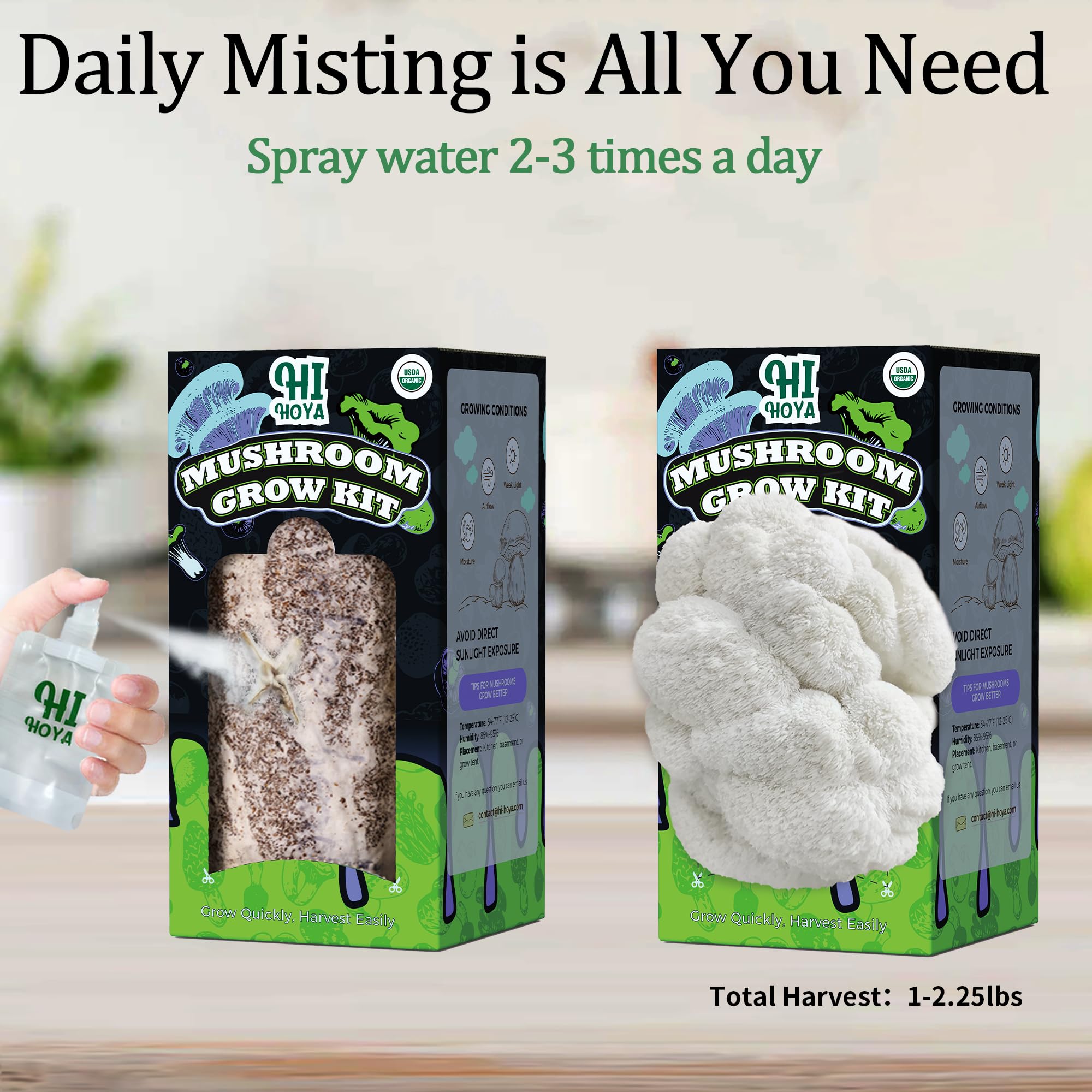 HiHOYA grow guide included for easy at-home mushroom cultivation.