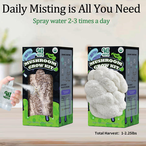 HiHOYA grow guide included for easy at-home mushroom cultivation.