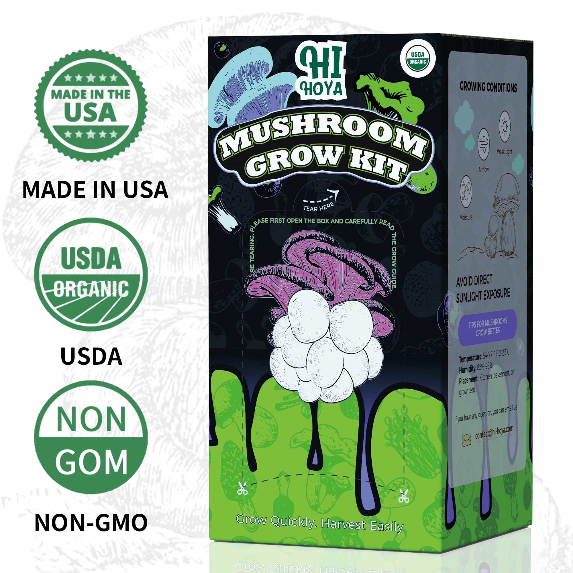 HiHOYA Grow tent helps maintain ideal humidity for steady harvests.