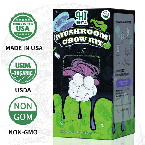HiHOYA Grow tent helps maintain ideal humidity for steady harvests.