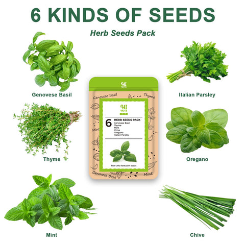 HiHOYA Mint seed pod for hydroponics, fragrant indoor herb growth