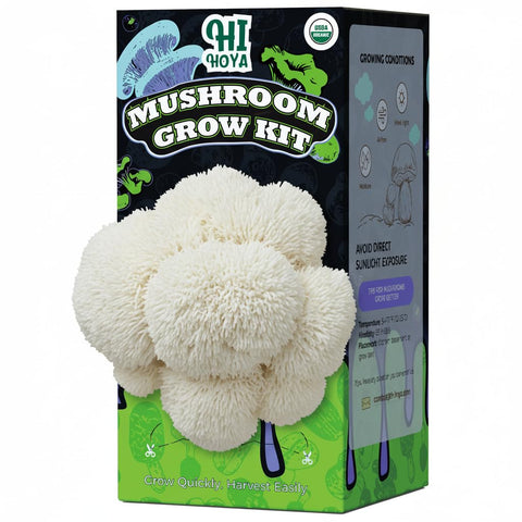 HiHOYA Lion's Mane log ready to start indoor cultivation for fresh mushrooms.