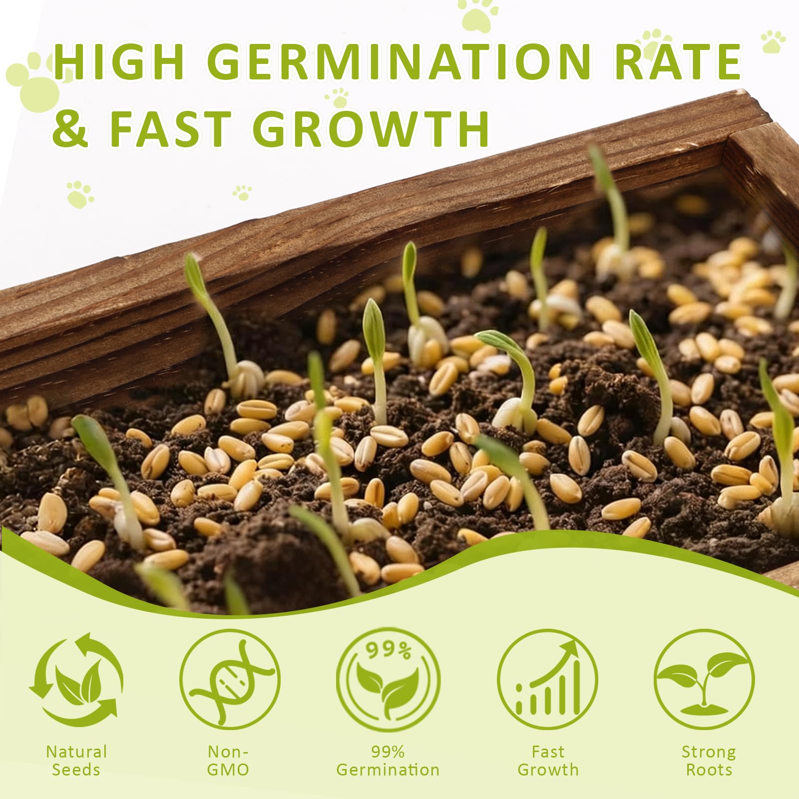 HiHOYA planting tools set aids precise sowing and tidy growing.