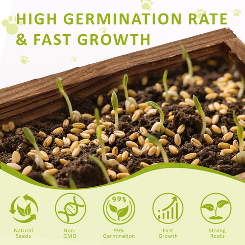 HiHOYA planting tools set aids precise sowing and tidy growing.