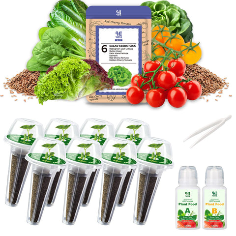 HiHOYA salad greens seed pod kit ready for hydroponics, enabling easy indoor harvests