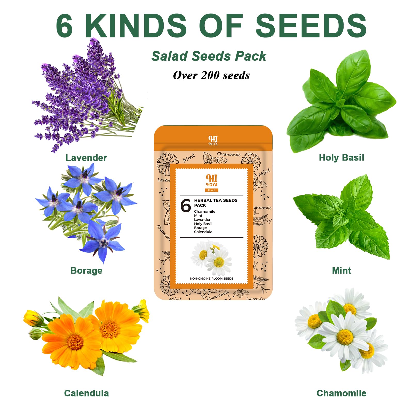 HiHOYA Seed Pod Kit components laid out for organized indoor gardening.