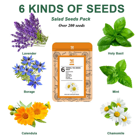HiHOYA Seed Pod Kit components laid out for organized indoor gardening.