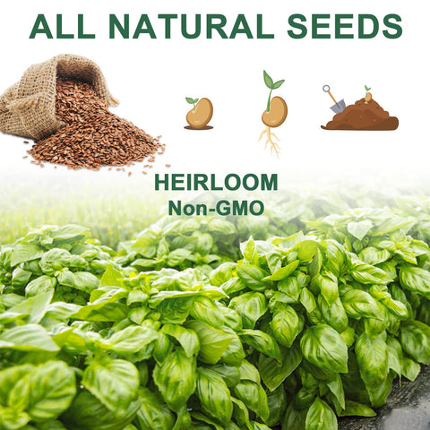 HiHOYA Seed Pod Kit contents view, sponges and tools for indoor gardening