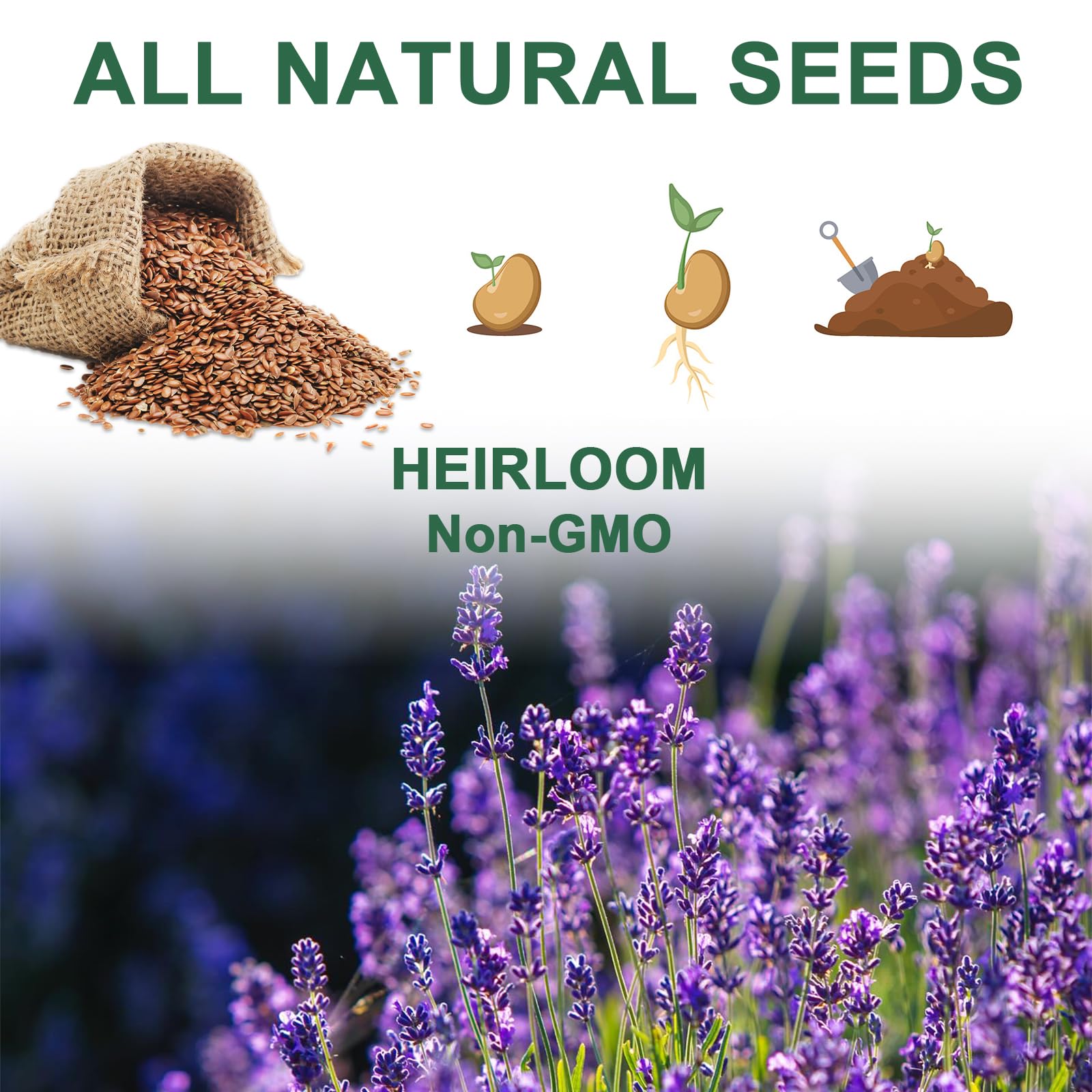 HiHOYA Tweezers included for precise seed placement.