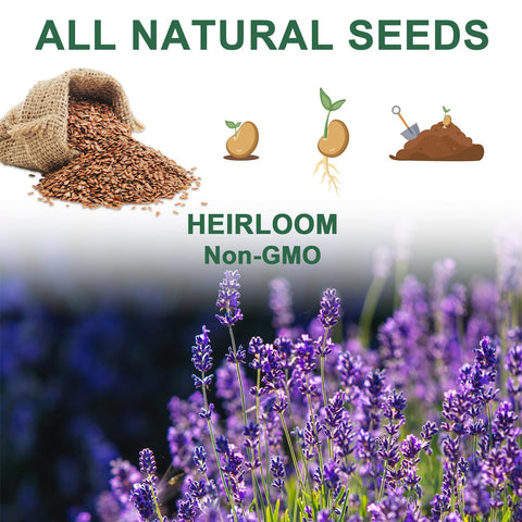 HiHOYA Tweezers included for precise seed placement.