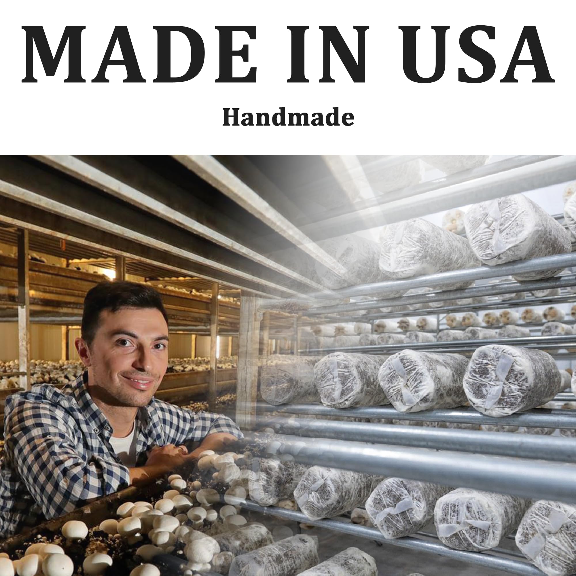 HiHOYA year-round harvest supports ongoing home mushroom experience.